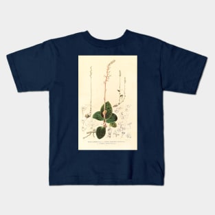 Dossinia marmorata - Botanical Illustration Kids T-Shirt